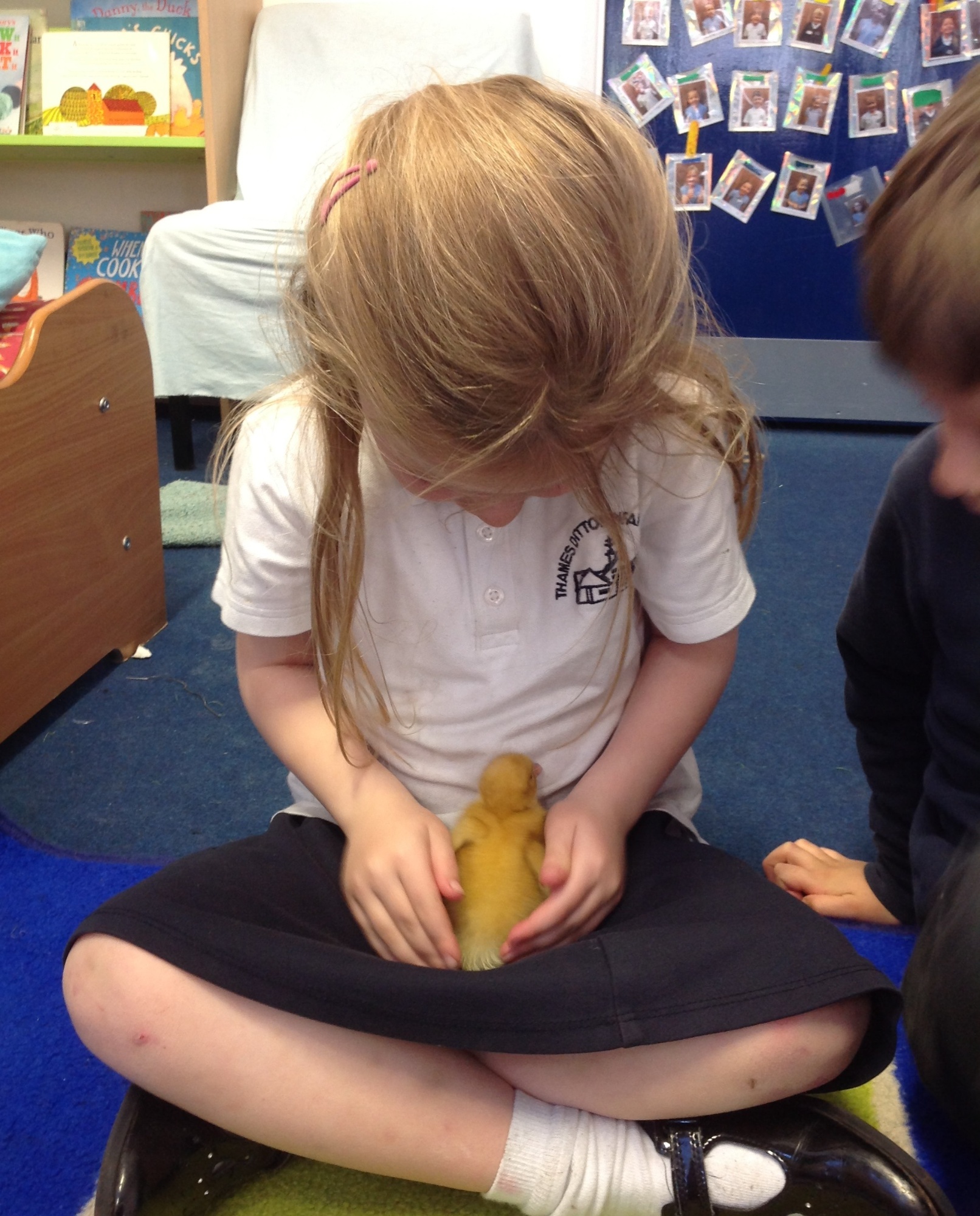 Child holding a duckling